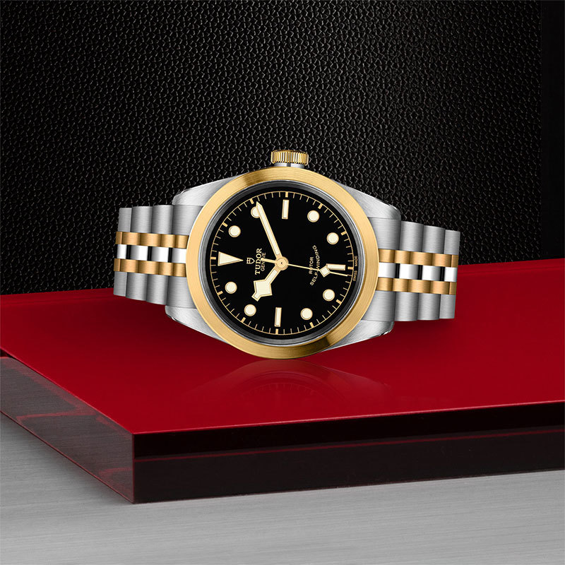 TUDOR | BLACK BAY | Black Bay S&G | 22064.jpg