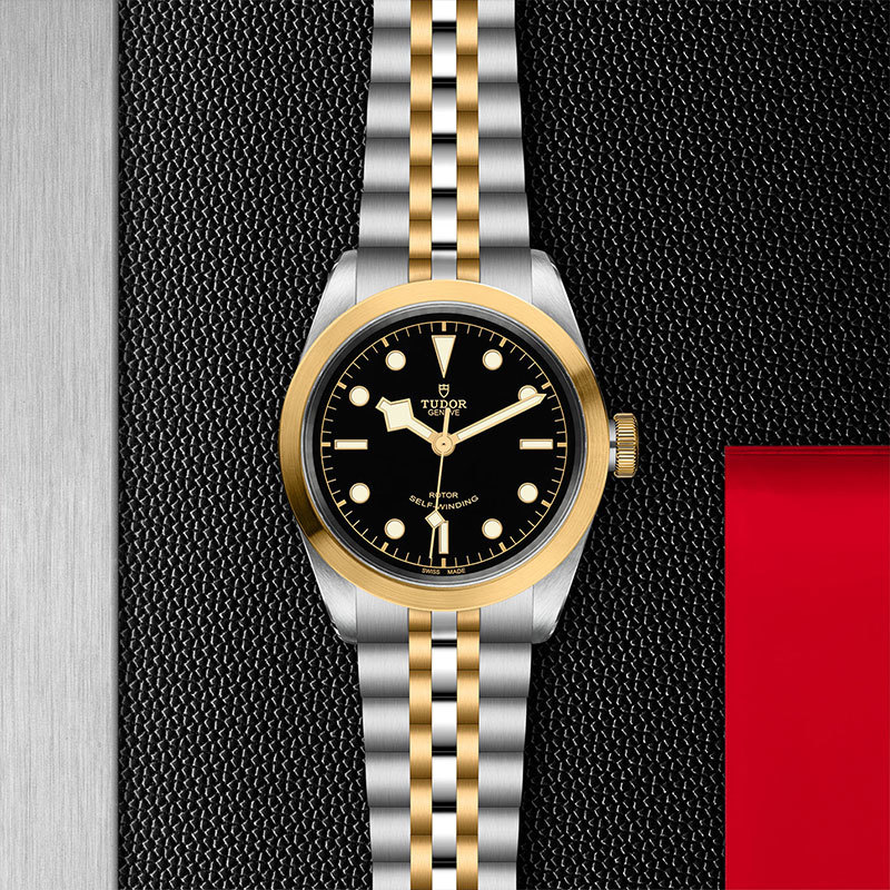 TUDOR | BLACK BAY | Black Bay S&G | 22065.jpg