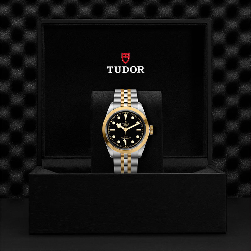 TUDOR | BLACK BAY | Black Bay S&G | 22066.jpg