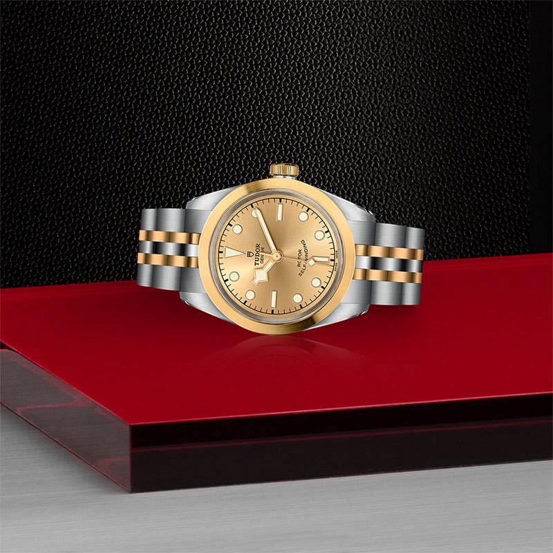 TUDOR | BLACK BAY | Black Bay S&G | 22104.jpg