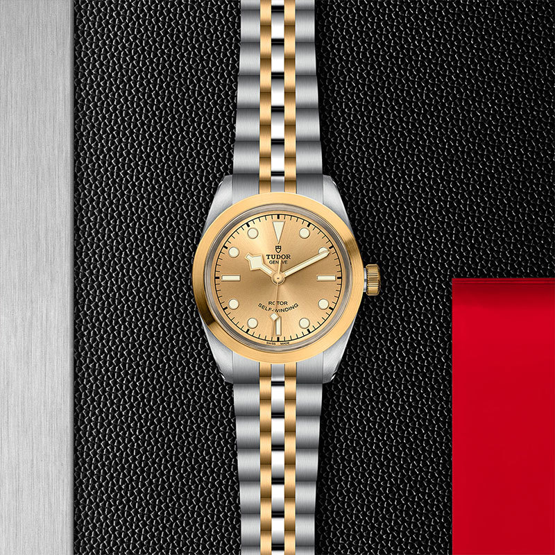 TUDOR | BLACK BAY | Black Bay S&G | 22105.jpg
