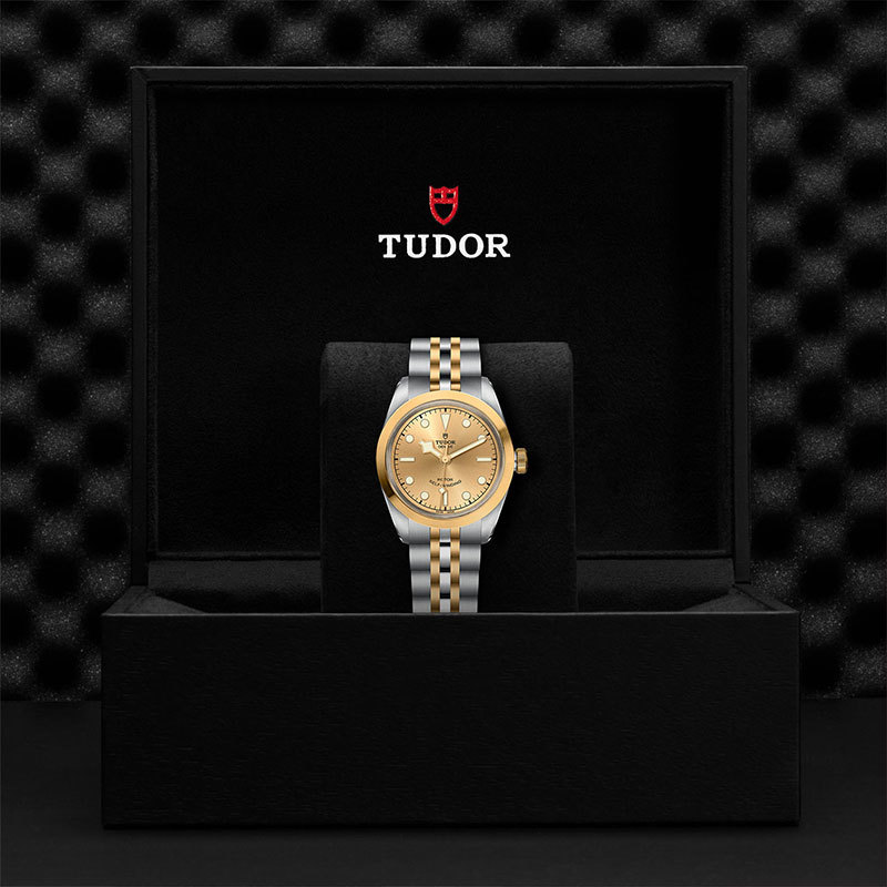 TUDOR | BLACK BAY | Black Bay S&G | 22106.jpg