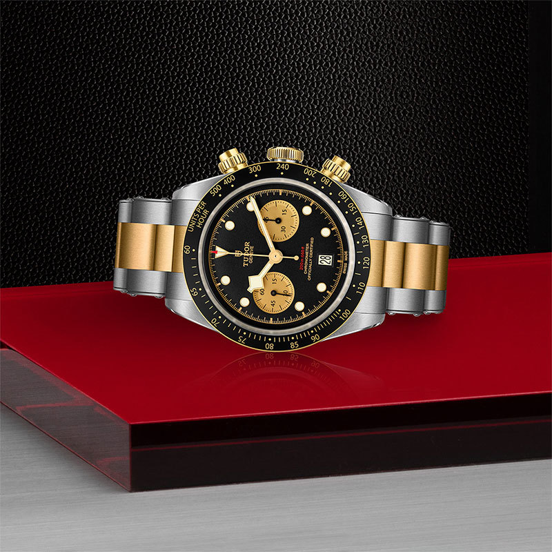 TUDOR | BLACK BAY | Black Bay Chrono S&G | 22116.jpg
