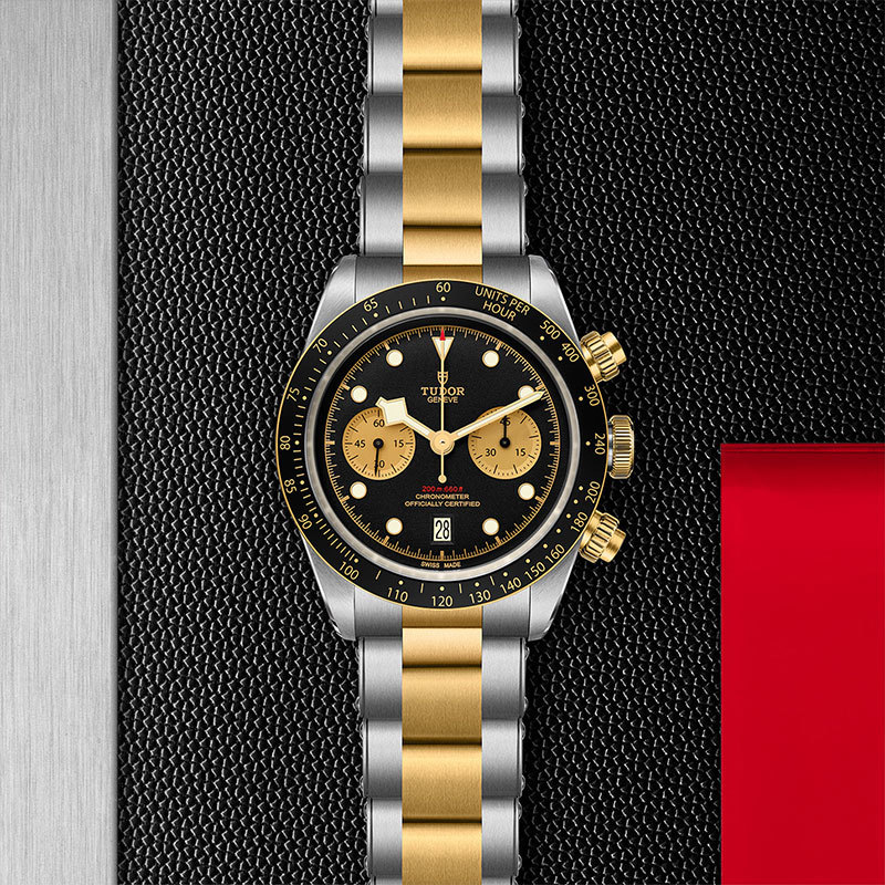 TUDOR | BLACK BAY | Black Bay Chrono S&G | 22117.jpg