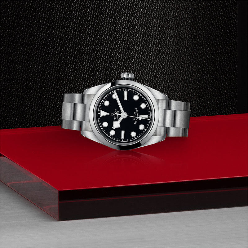 TUDOR | BLACK BAY | Black Bay 32 | 22124.jpg