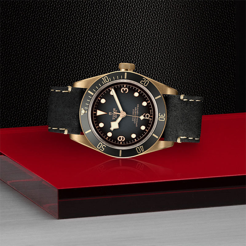 TUDOR | BLACK BAY | Black Bay Bronze | 22128.jpg