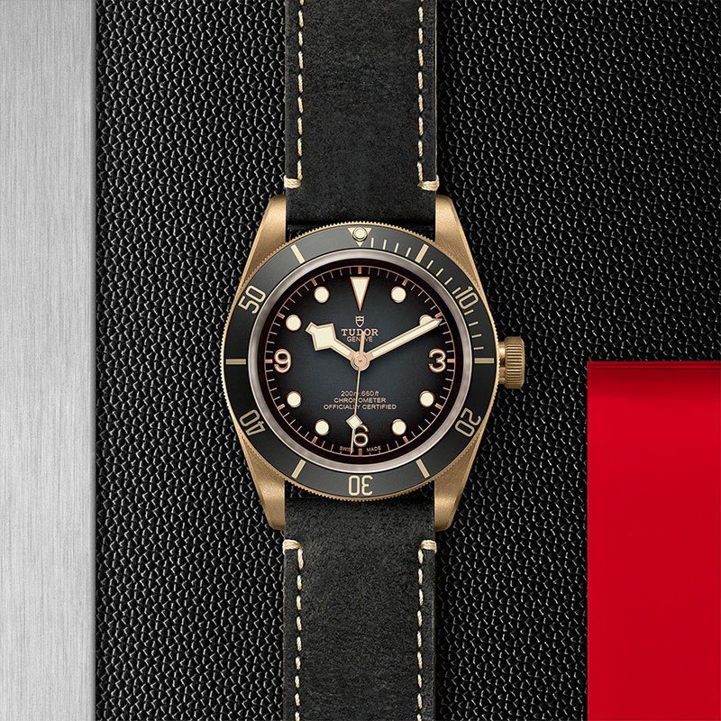TUDOR | BLACK BAY | Black Bay Bronze | 22129.jpg