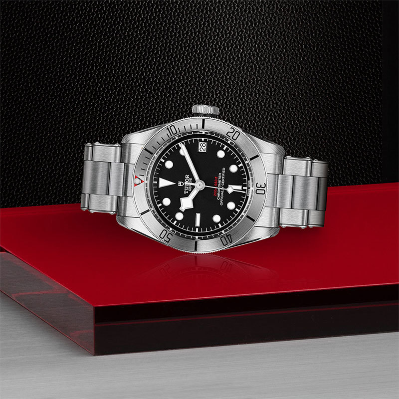 TUDOR | BLACK BAY | Black Bay Steel | 22148.jpg