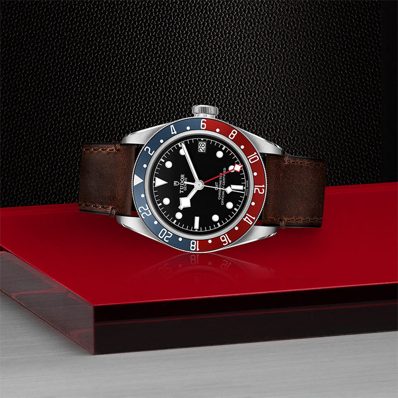 TUDOR | BLACK BAY | Black Bay GMT | 22179.jpg