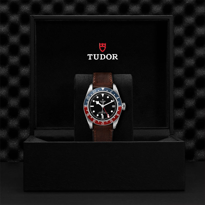 TUDOR | BLACK BAY | Black Bay GMT | 22181.jpg