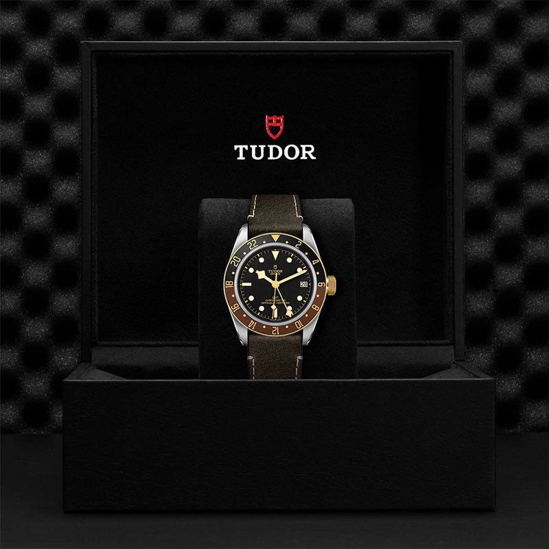 TUDOR | BLACK BAY | Black Bay Gmt S&G | 25582.jpg