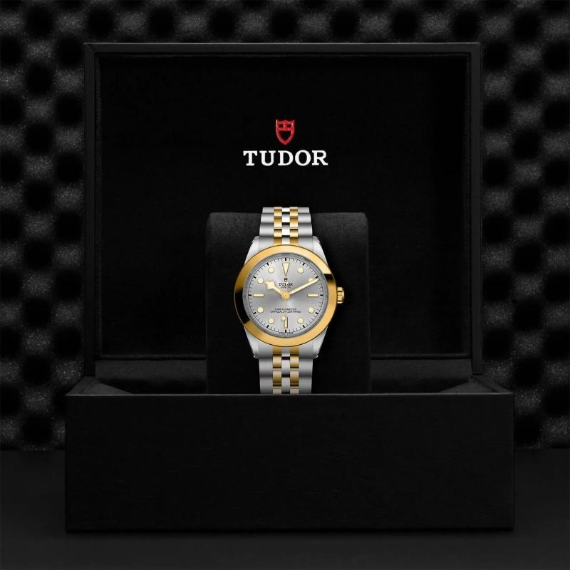 TUDOR | BLACK BAY | BLACK BAY 39 S&G | 33273.jpg