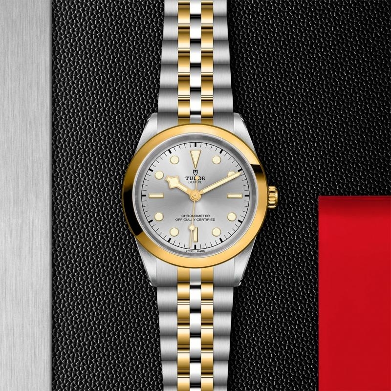 TUDOR | BLACK BAY | BLACK BAY 41 S&G | 33286.jpg