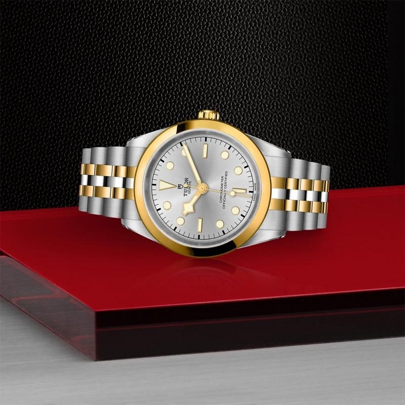 TUDOR | BLACK BAY | BLACK BAY 41 S&G | 33288.jpg