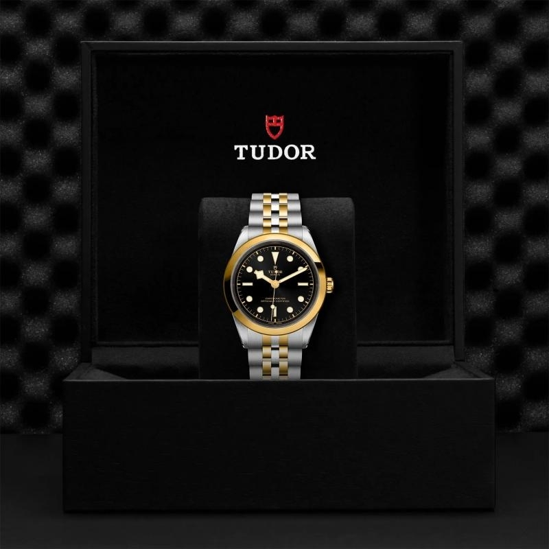 TUDOR | BLACK BAY | BLACK BAY 41 S&G | 33294.jpg