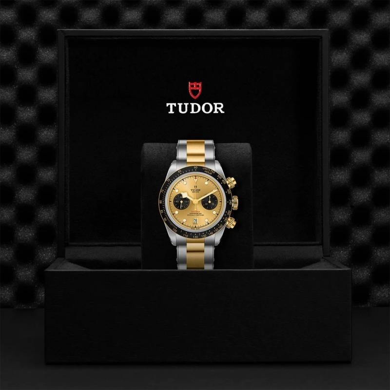 TUDOR | BLACK BAY | BLACK BAY CHRONO S&G | 33304.jpg