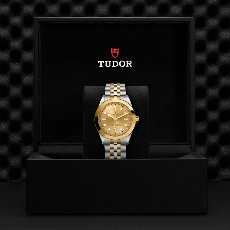 TUDOR | BLACK BAY | Black Bay 39 S&G | 34274.jpg