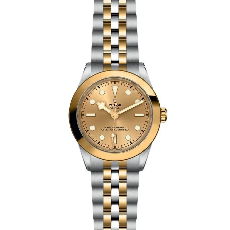 TUDOR | BLACK BAY | Black Bay 39 S&G | 34276.jpg