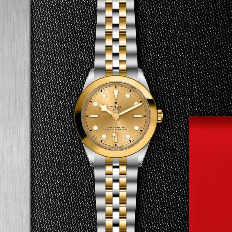 TUDOR | BLACK BAY | Black Bay 39 S&G | 34277.jpg