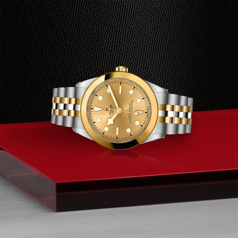 TUDOR | BLACK BAY | Black Bay 39 S&G | 34278.jpg