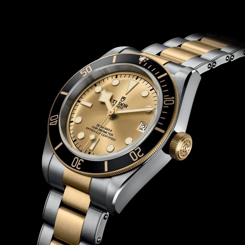 TUDOR | BLACK BAY | Black Bay S&G | 37720.jpg