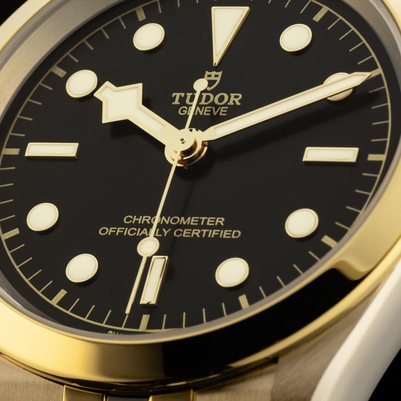 TUDOR | BLACK BAY | BLACK BAY 41 S&G | 40048.jpg