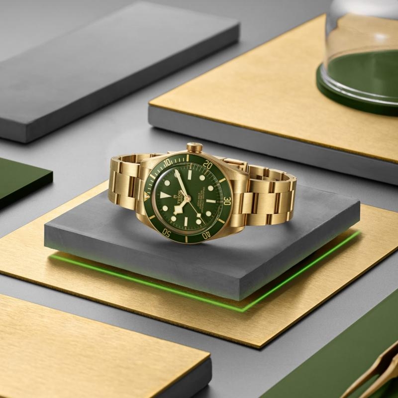 TUDOR | BLACK BAY | Black Bay 58 18K | 44819.jpg
