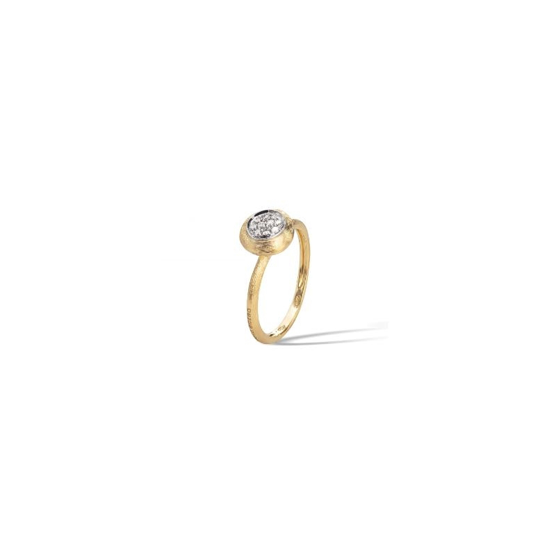 MARCO BICEGO