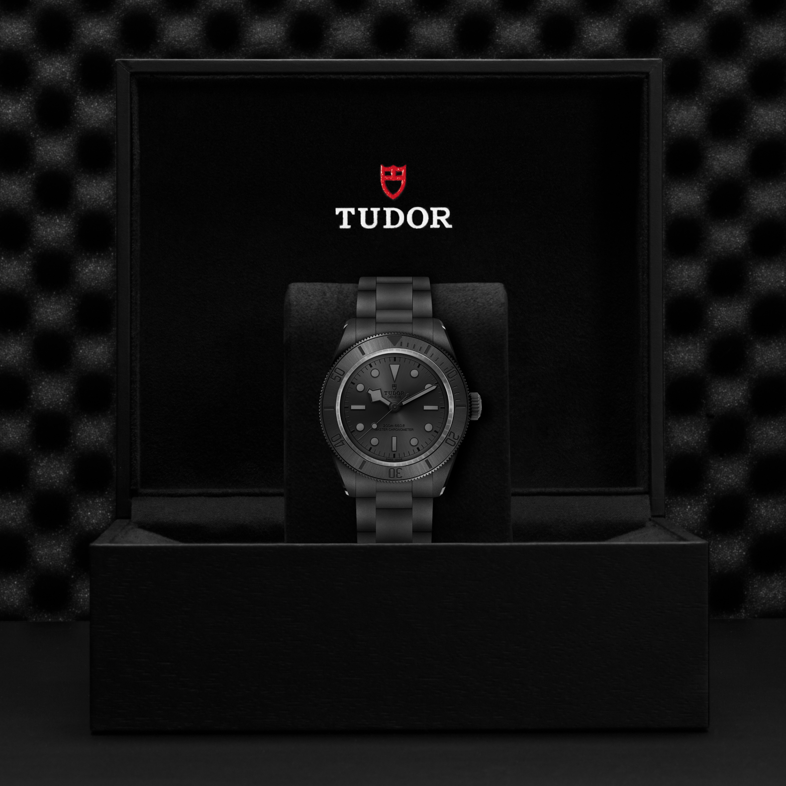 TUDOR | BLACK BAY | Black Bay Ceramic | 72591.png